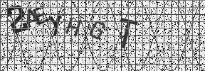 Visual Confirmation Security Code