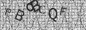 Visual Confirmation Security Code