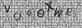 Visual Confirmation Security Code