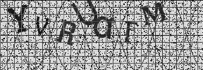 Visual Confirmation Security Code