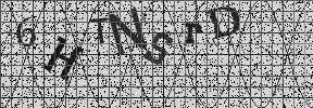 Visual Confirmation Security Code