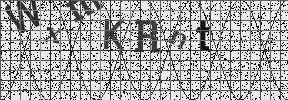 Visual Confirmation Security Code