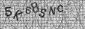 Visual Confirmation Security Code
