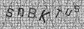 Visual Confirmation Security Code