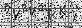 Visual Confirmation Security Code