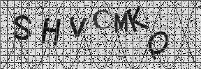 Visual Confirmation Security Code