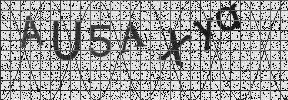 Visual Confirmation Security Code