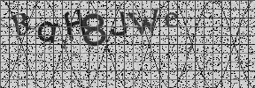 Visual Confirmation Security Code