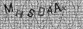 Visual Confirmation Security Code