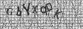 Visual Confirmation Security Code