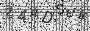 Visual Confirmation Security Code