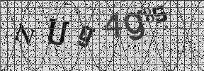 Visual Confirmation Security Code