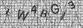 Visual Confirmation Security Code