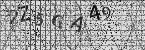 Visual Confirmation Security Code