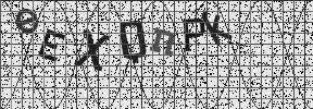 Visual Confirmation Security Code