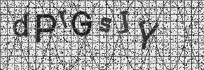 Visual Confirmation Security Code