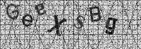 Visual Confirmation Security Code