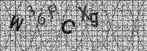 Visual Confirmation Security Code