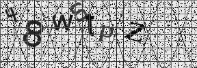 Visual Confirmation Security Code