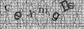 Visual Confirmation Security Code