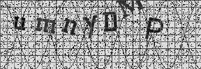 Visual Confirmation Security Code