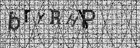 Visual Confirmation Security Code