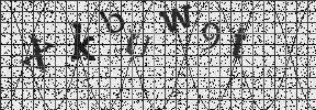 Visual Confirmation Security Code