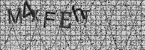 Visual Confirmation Security Code