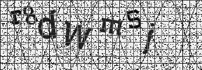 Visual Confirmation Security Code