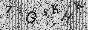 Visual Confirmation Security Code