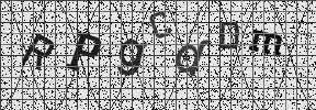 Visual Confirmation Security Code