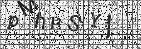 Visual Confirmation Security Code