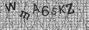 Visual Confirmation Security Code
