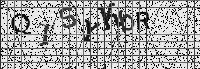 Visual Confirmation Security Code