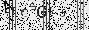 Visual Confirmation Security Code
