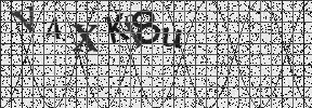 Visual Confirmation Security Code