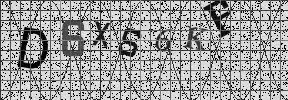 Visual Confirmation Security Code
