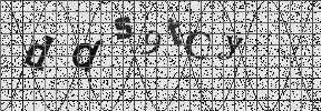 Visual Confirmation Security Code