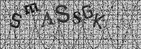 Visual Confirmation Security Code