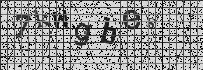 Visual Confirmation Security Code