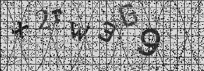 Visual Confirmation Security Code