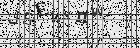 Visual Confirmation Security Code
