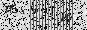 Visual Confirmation Security Code
