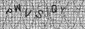 Visual Confirmation Security Code
