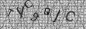 Visual Confirmation Security Code