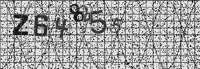 Visual Confirmation Security Code