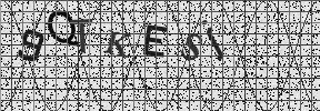 Visual Confirmation Security Code