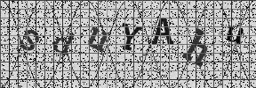 Visual Confirmation Security Code
