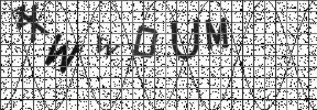 Visual Confirmation Security Code