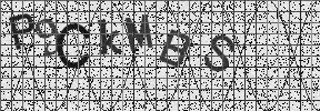Visual Confirmation Security Code